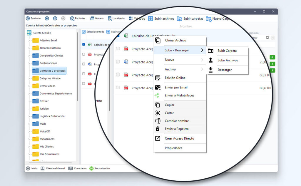 Ventana carpetas en cloud. Botón derecho del ratón muestra menu de opcioens y operaciones con archivos y carpetas.